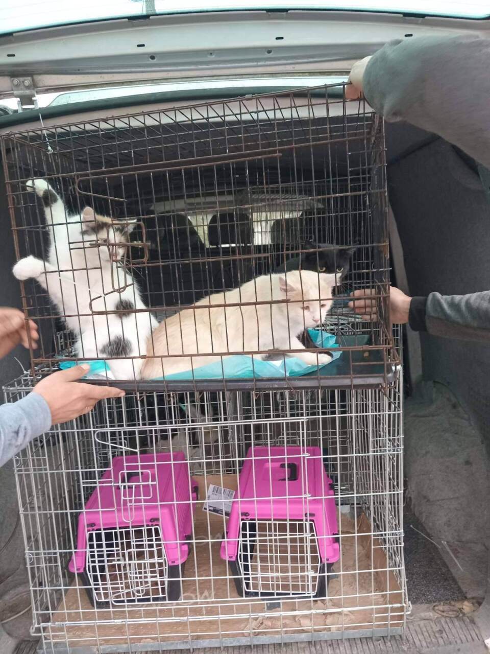 Взято з сайту «Карпатський об’єктив»