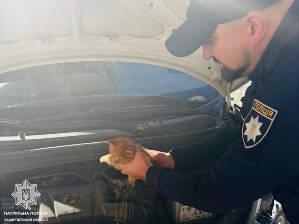 В Ужгороді, на площі Шандора Петефі, патрульні отримали повідомлення про те, що в припаркованому автомобілі Hyundai чути звуки тварини