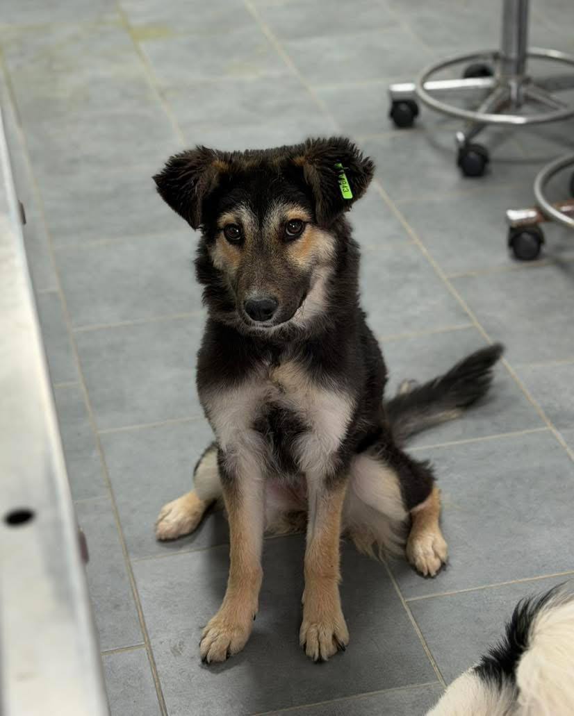 photo_2025-12-14_19-55-52