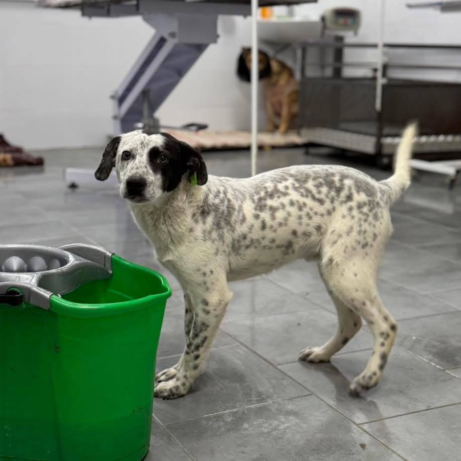 photo_2025-12-14_19-55-54 (2)