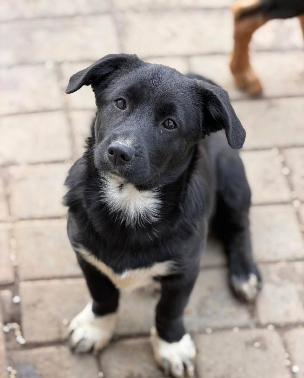 photo_2025-12-14_19-55-54