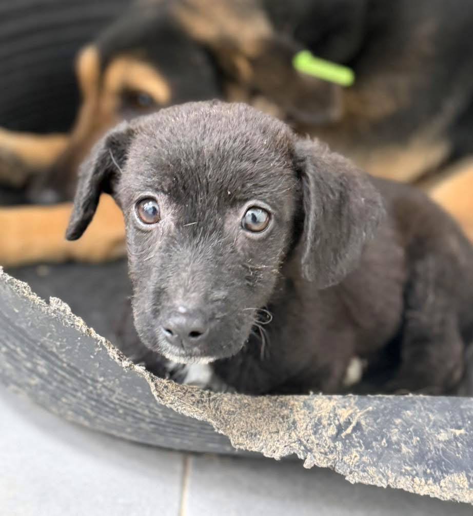 photo_2025-12-14_19-55-55 (2)